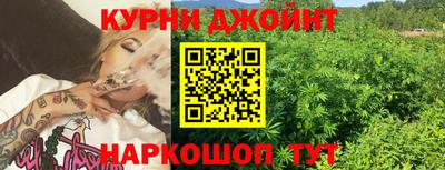 гидра Кизилюрт