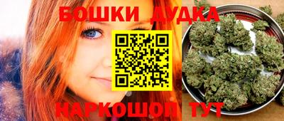 гидра Кизилюрт