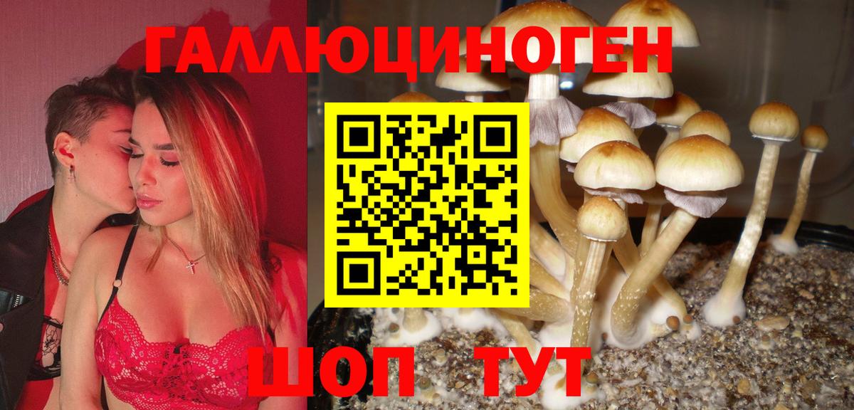 Галлюциногенные грибы Psilocybine cubensis Орехово-Зуево